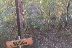IMG-20240928-WA0004