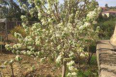 IMG-20240928-WA0009