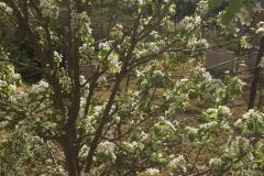 IMG-20240928-WA0013