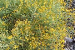 IMG-20240928-WA0021